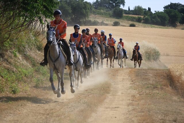 Endurance equestre Endurance equestre