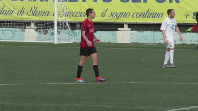 Ceparana Ceparana