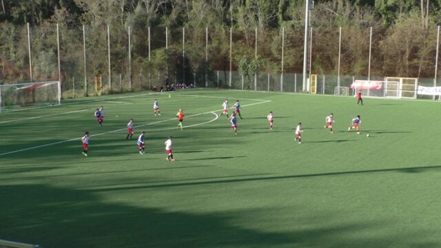 Torneo Primavera Torneo Primavera