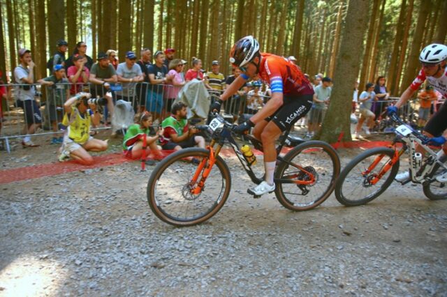 Ktm Protek Elettrosystem Ktm Protek Elettrosystem