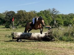 Equitazione: Dressage e Completo nel 2° appuntamento Asvi a Tanca Regia Equitazione