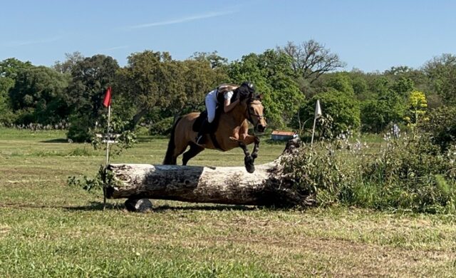 Equitazione Equitazione