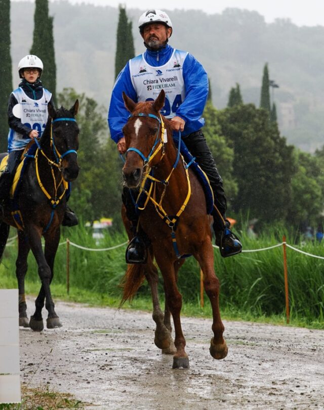 Endurance equestre Endurance equestre