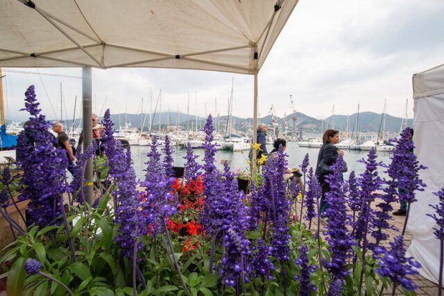 Yacht&Garden Yacht&Garden