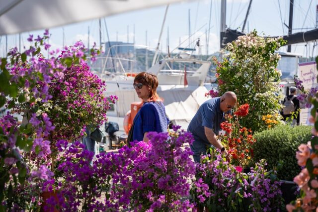 Yacht&Garden Yacht&Garden
