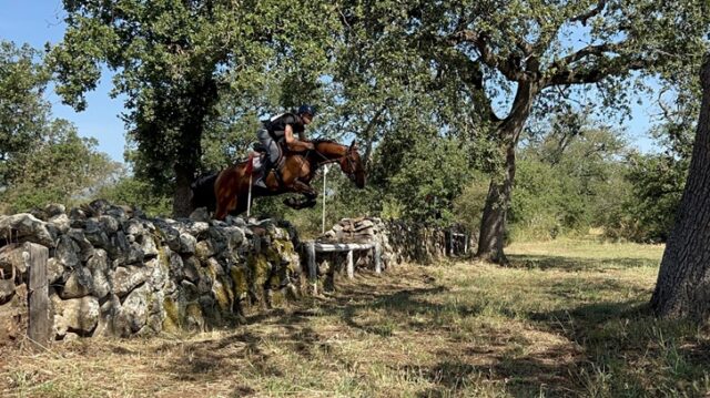 equitazione equitazione