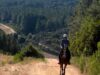 Endurance: nel Parco del Tepilora si impongono Maria Salaris e Giuseppe Mallei Endurance
