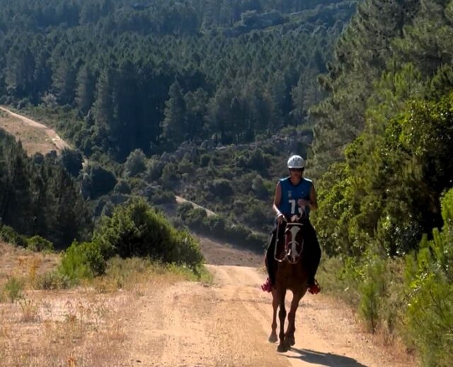 Endurance Endurance