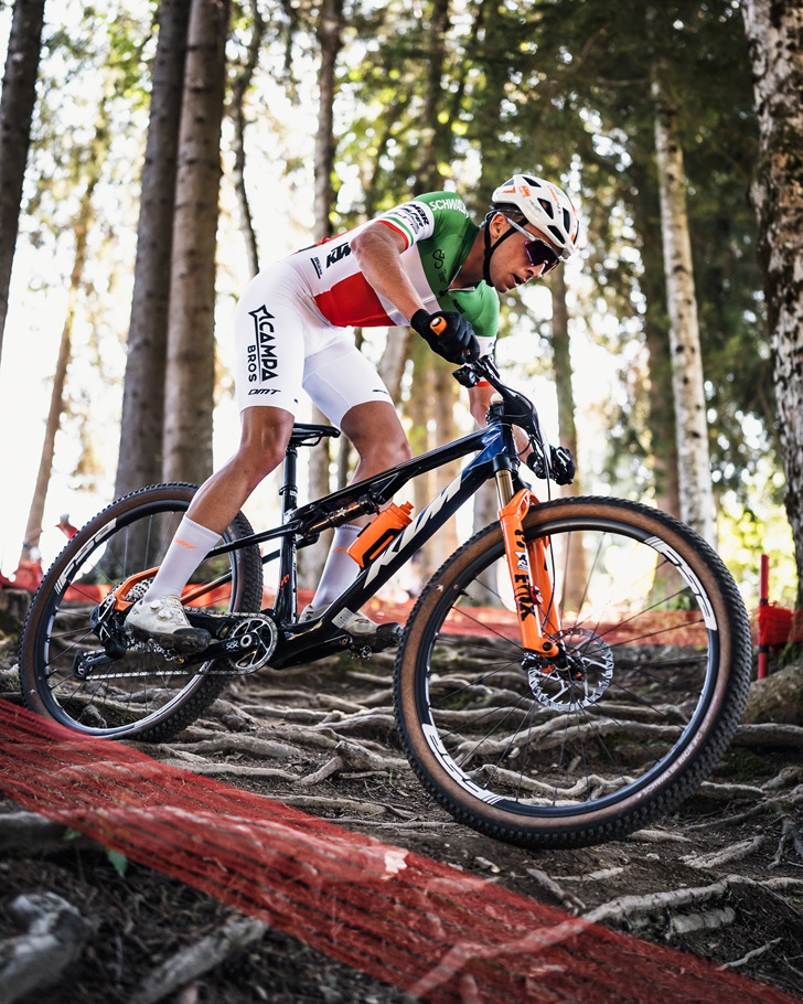 Ktm Protek Elettrosystem Ktm Protek Elettrosystem
