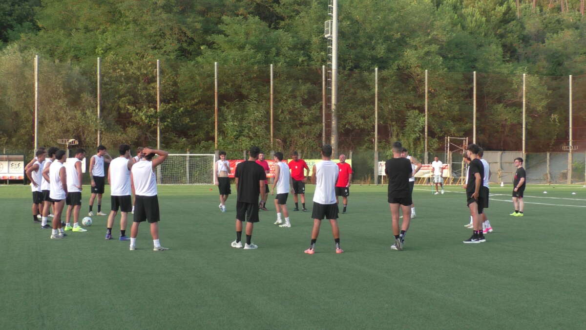 training