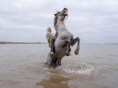 World Press Photo Exhibition a Palazzo Ducale di Genova: il 7 ottobre Open Day per insegnanti World Press Photo Exhibition