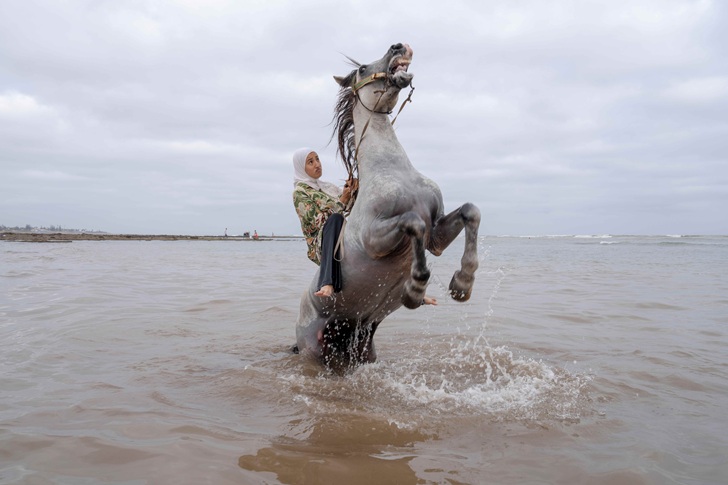 World Press Photo Exhibition World Press Photo Exhibition