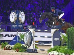 Fieracavalli in scena a Veronafiere dal 5 all’8 novembre Fiercavalli