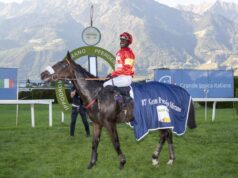 Gran Premio Merano Alto Adige: corse, spettacoli ed eleganza sugli spalti Gran Premio Merano Alto Adige