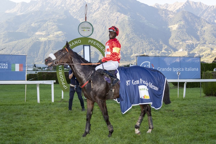 Gran Premio Merano Alto Adige Gran Premio Merano Alto Adige