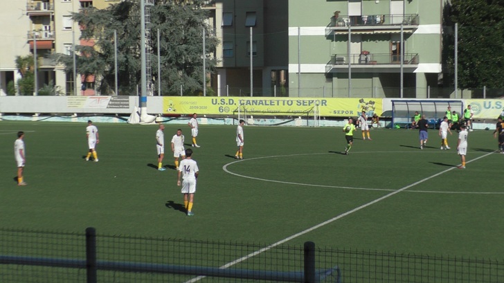 Canaletto Sepor Canaletto Sepor