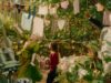 Genova: domenica 11 ottobre al Cinema Sivori Cinecolazione con “L’albero di molto lontano”, “Naza” e “Jezebel/La figlia del vento” Cinema Sivori