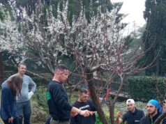 Villaggio del Ragazzo: corso per “Manutentore del Verde”, ultimi posti disponibili Villaggio del Ragazzo