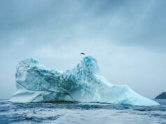Red Bull Iceberg Dive: Molly Carlson è la prima donna al mondo a tuffarsi da un iceberg Molly Carlson