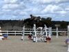 Salto ostacoli: fine settimana a Tanca Regia con il Campionato del Cavallo Sardo Campionato del Cavallo Sardo