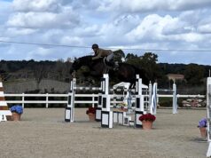 Salto ostacoli: fine settimana a Tanca Regia con il Campionato del Cavallo Sardo Campionato del Cavallo Sardo